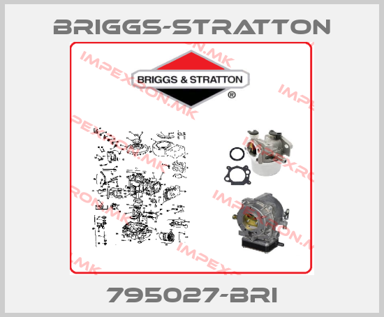 Briggs-Stratton-795027-BRIprice