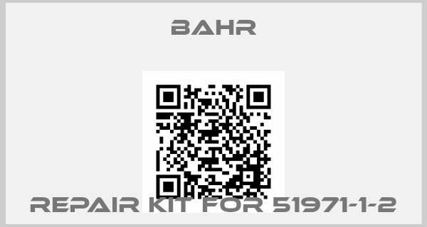 Bahr-Repair Kit for 51971-1-2price