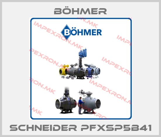 Böhmer-Schneider PFXSP5B41price