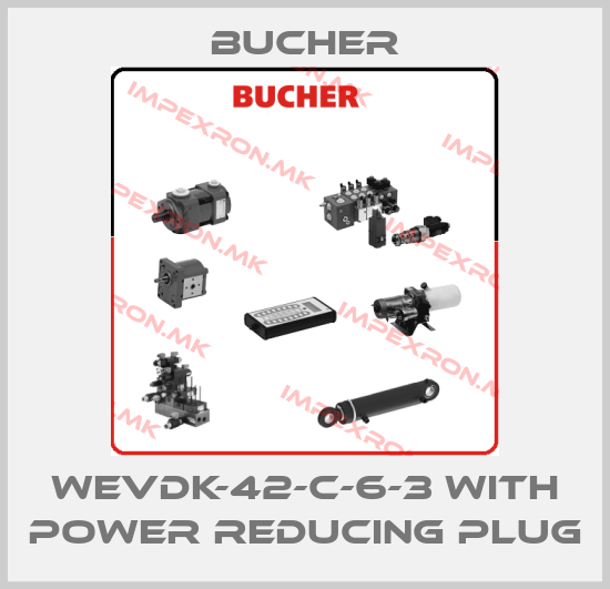 Bucher-WEVDK-42-C-6-3 with power reducing plugprice