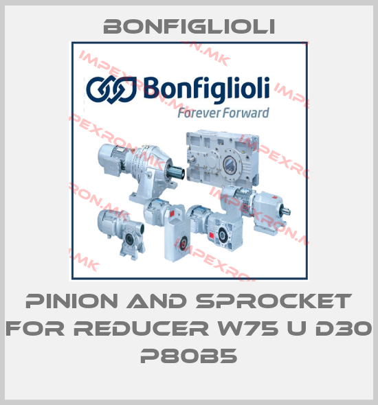 Bonfiglioli-PINION AND SPROCKET FOR REDUCER W75 U D30 P80B5price
