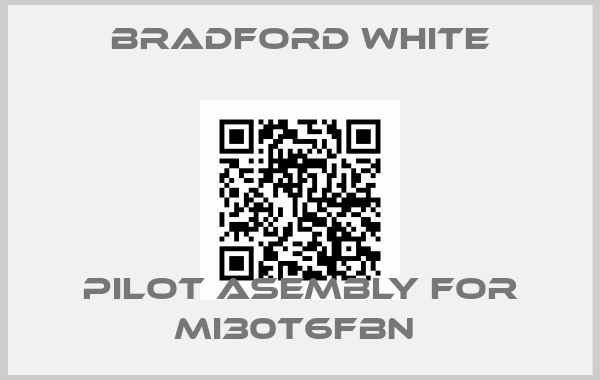 Bradford White-Pilot Asembly for MI30T6FBN price