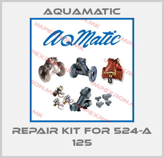 AquaMatic-Repair kit for 524-A 125price