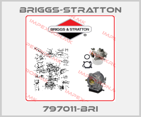 Briggs-Stratton Europe