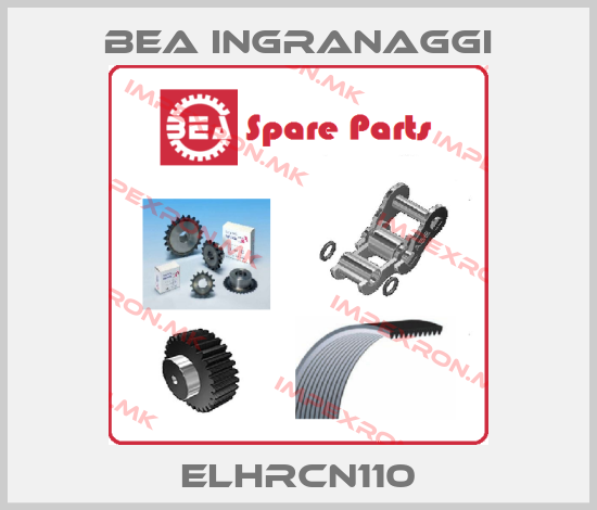 BEA Ingranaggi Europe