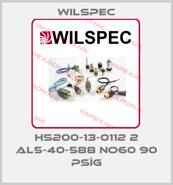Wilspec-HS200-13-0112 2 AL5-40-588 NO60 90 PSİGprice