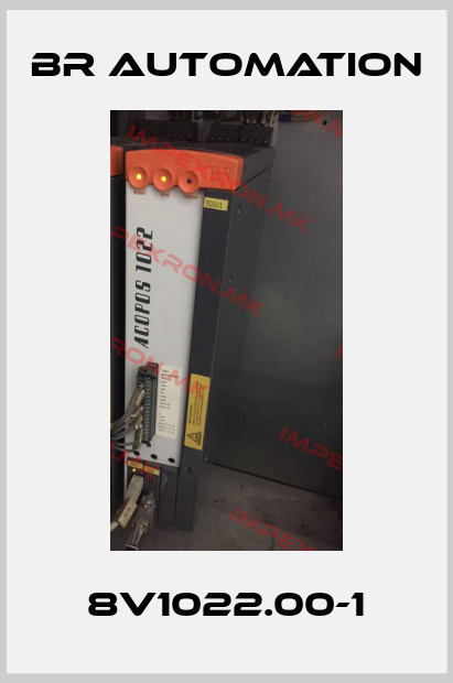 Br Automation-8V1022.00-1price