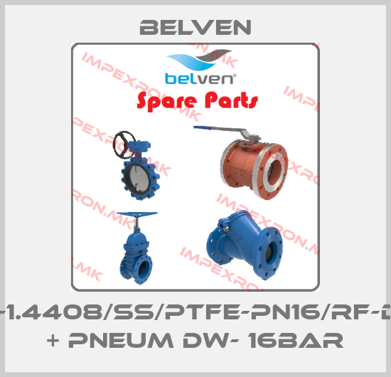 Belven-BV4-1.4408/SS/PTFE-PN16/RF-DN80 + PNEUM DW- 16barprice