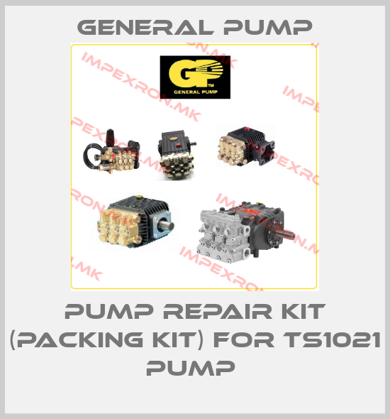 General Pump-PUMP REPAIR KIT (PACKING KIT) FOR TS1021 PUMP price