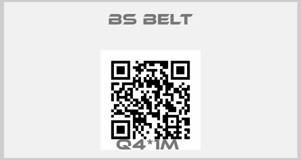 Bs Belt-Q4*1M price