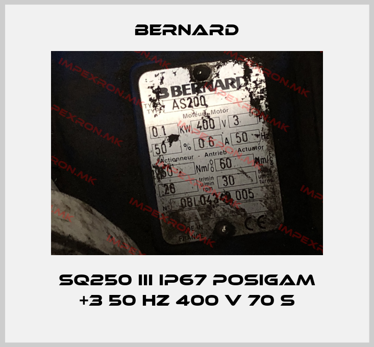 Bernard-SQ250 III IP67 Posigam +3 50 Hz 400 V 70 sprice