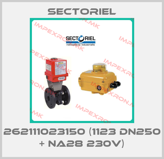 Sectoriel-262111023150 (1123 DN250 + NA28 230V)price