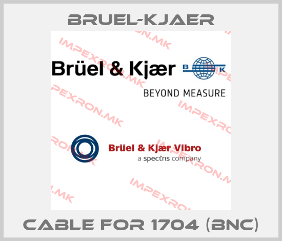 Bruel-Kjaer-Cable for 1704 (BNC)price