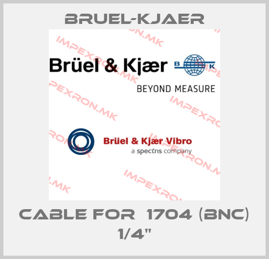 Bruel-Kjaer-Cable for  1704 (BNC) 1/4"price