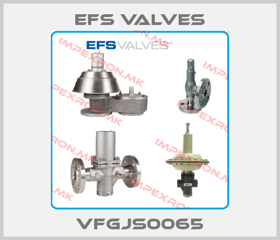 EFS VALVES-VFGJS0065price