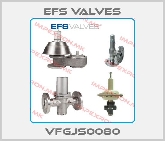 EFS VALVES-VFGJS0080price