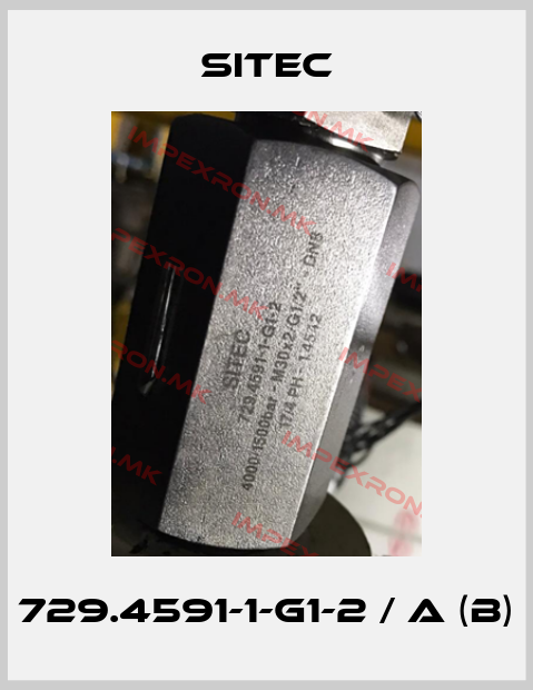 SITEC-729.4591-1-G1-2 / a (b)price