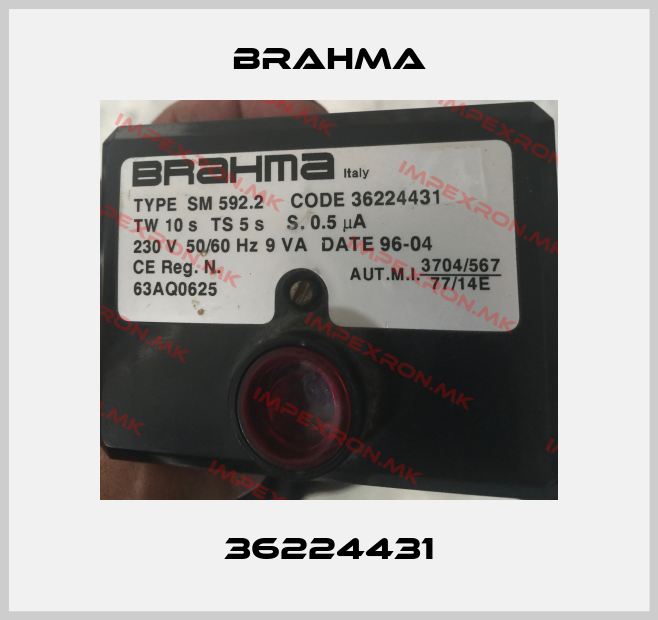 Brahma-36224431price