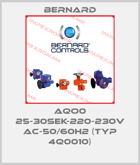 Bernard-AQO0 25-30sek-220-230V AC-50/60H2 (Typ 4Q0010)price