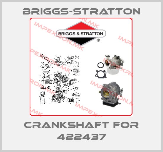 Briggs-Stratton Europe