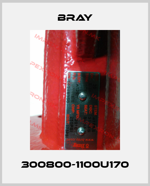 Bray-300800-1100U170price