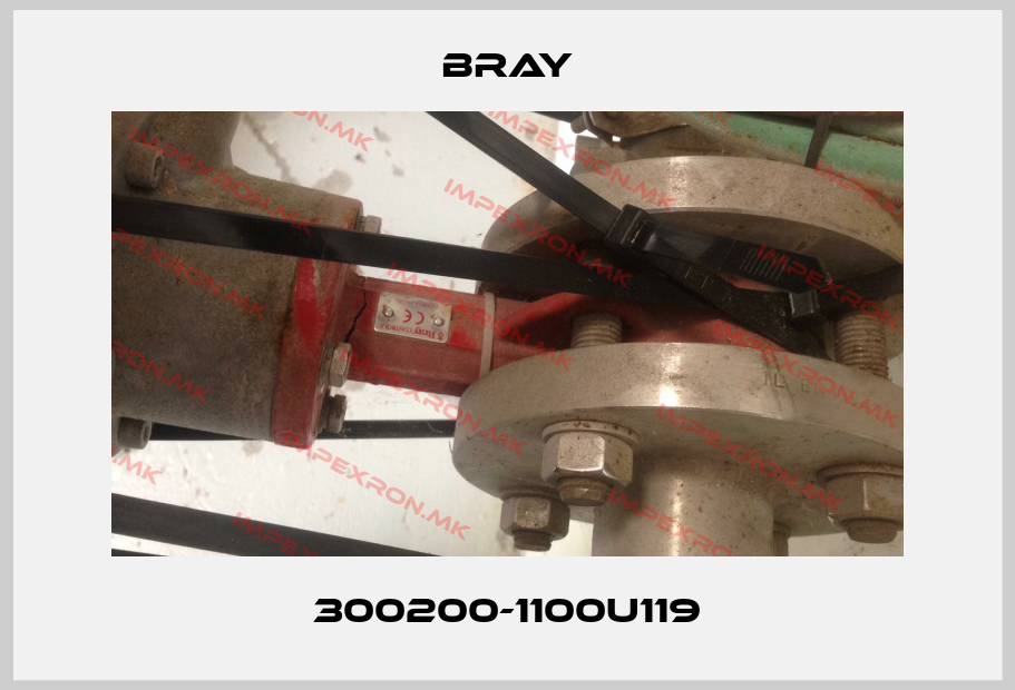 Bray-300200-1100U119price