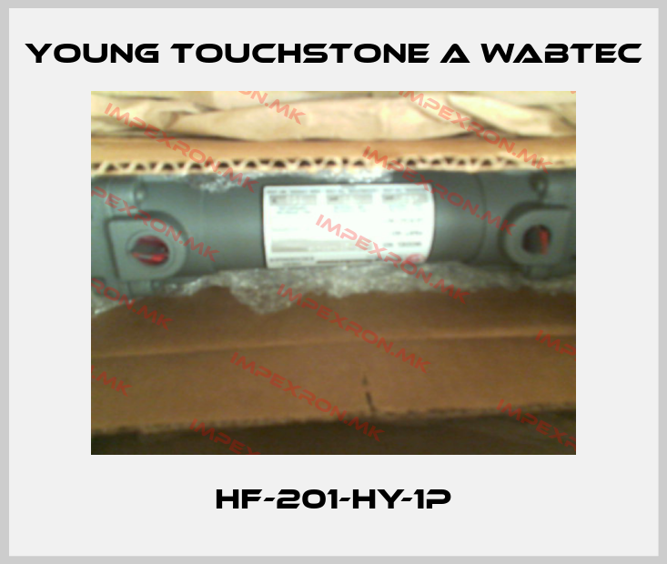 Young Touchstone A Wabtec Europe