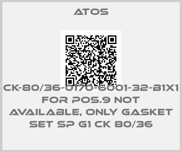 Atos-CK-80/36-0170-6001-32-B1X1 for Pos.9 not available, only gasket set SP G1 CK 80/36price