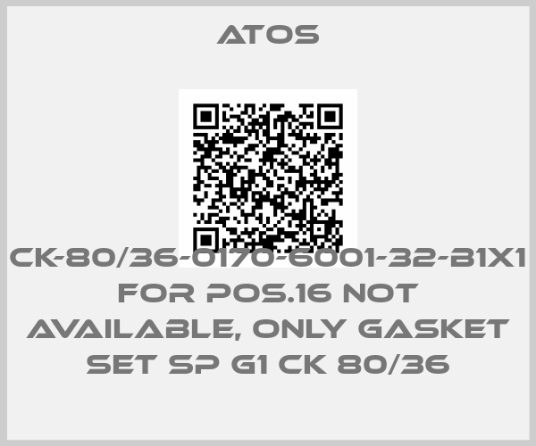Atos-CK-80/36-0170-6001-32-B1X1 for Pos.16 not available, only gasket set SP G1 CK 80/36price