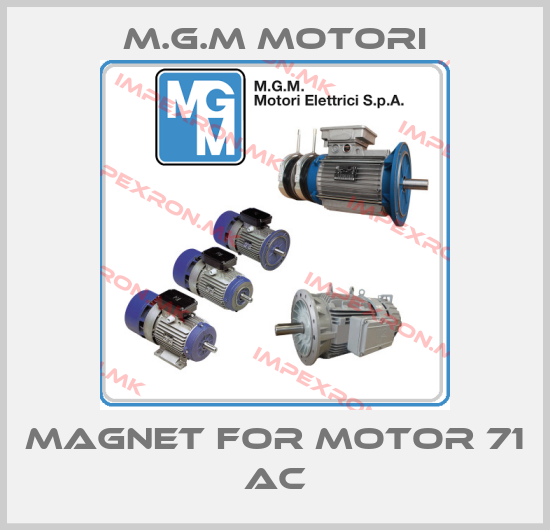 M.G.M MOTORI-Magnet for motor 71 ACprice