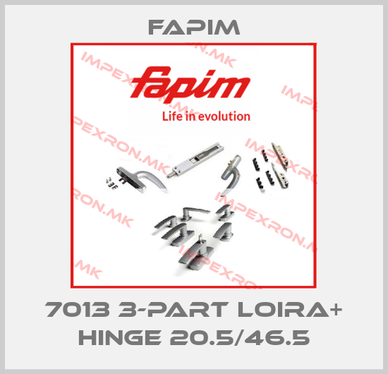 Fapim-7013 3-PART LOIRA+ HINGE 20.5/46.5price