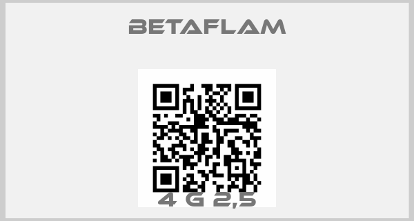 BETAFLAM-4 G 2,5price