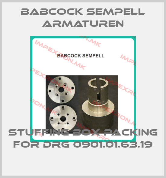 Babcock sempell Armaturen-STUFFING BOX PACKING for DRG 0901.01.63.19price