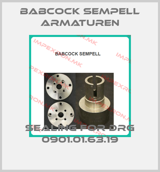 Babcock sempell Armaturen-SEALING for DRG 0901.01.63.19price