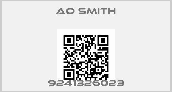 AO Smith-9241326023price