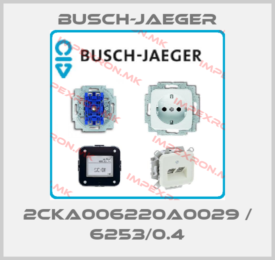 Busch-Jaeger-2CKA006220A0029 / 6253/0.4price