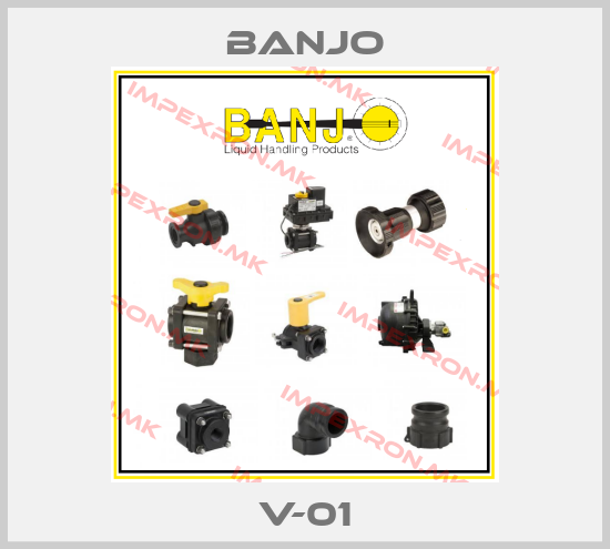 Banjo-V-01price
