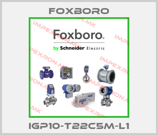 Foxboro-IGP10-T22C5M-L1price