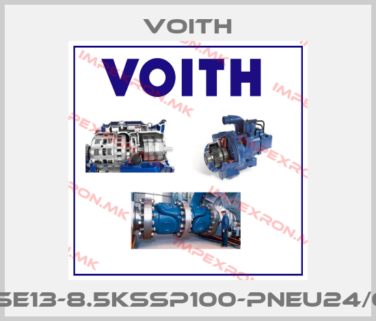 Voith-WSE13-8.5KSSP100-PNEU24/0Hprice