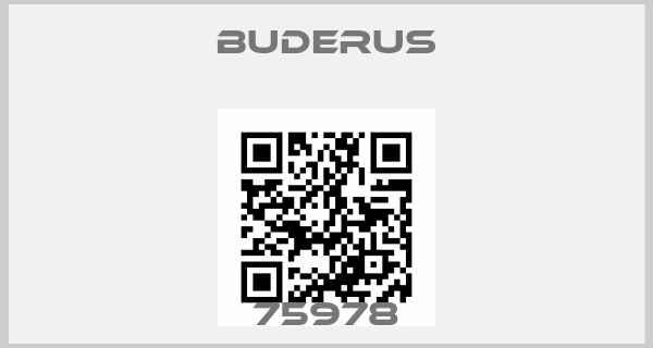 Buderus-75978price