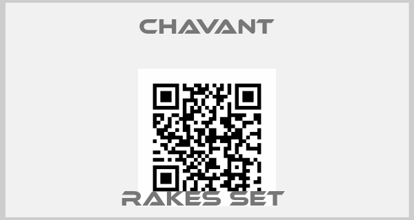 Chavant-RAKES SET price