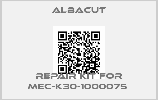 Albacut-REPAIR KIT FOR MEC-K30-1000075 price