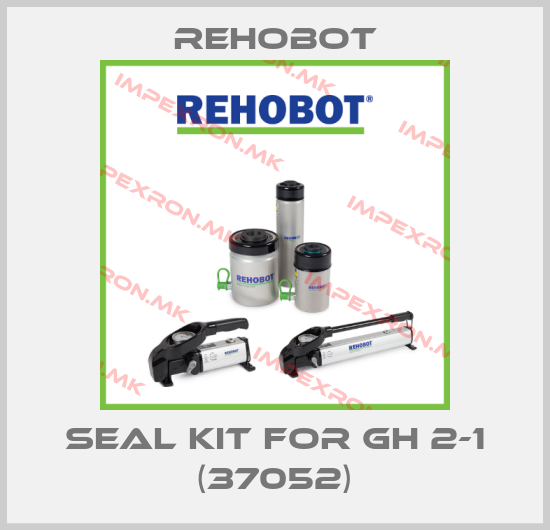 Rehobot-Seal kit for Gh 2-1 (37052)price