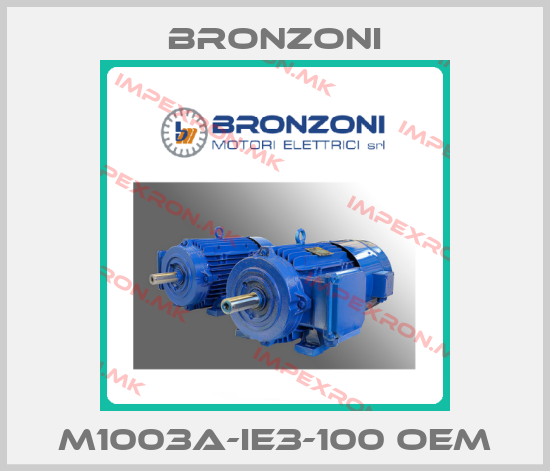 Bronzoni-M1003A-IE3-100 OEMprice
