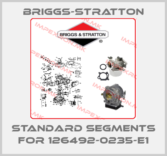 Briggs-Stratton-Standard Segments For 126492-0235-E1price