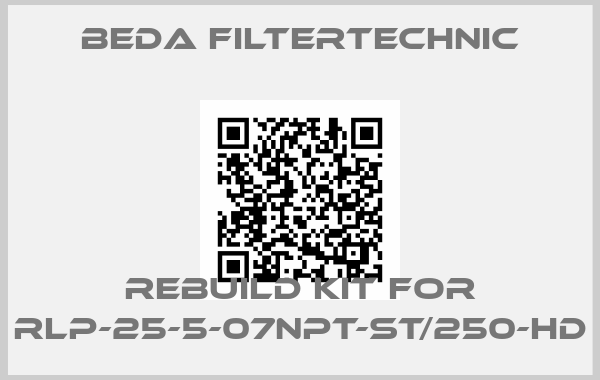 Beda Filtertechnic-Rebuild kit for RLP-25-5-07NPT-ST/250-HDprice