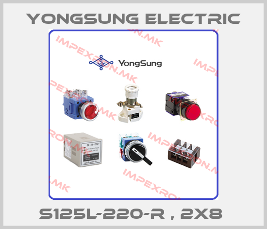 YongSung Electric Europe