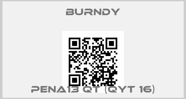 Burndy-PENA13 QT (Qyt 16)price