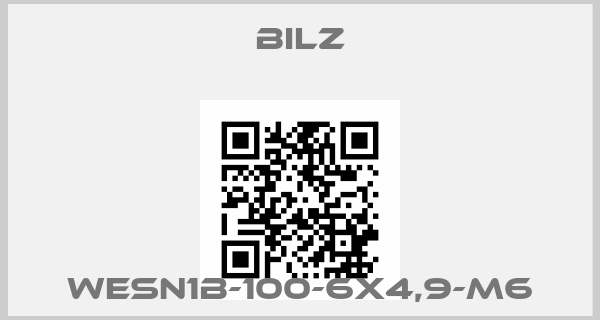 BILZ-WESN1B-100-6X4,9-M6price