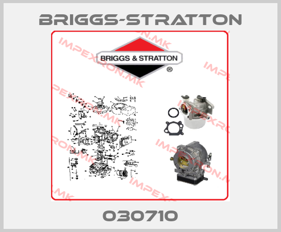 Briggs-Stratton-030710price